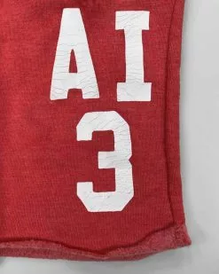 Allen Iverson #3 Red Shorts SPORT AND ICON