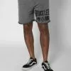 Bruce Lee Dragon Shorts SPORT AND ICON