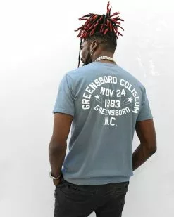 Ric Flair Greensboro Blue Tee