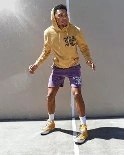 NEW ARRIVALS Ric Flair Nature Boy Yellow PO Hoody