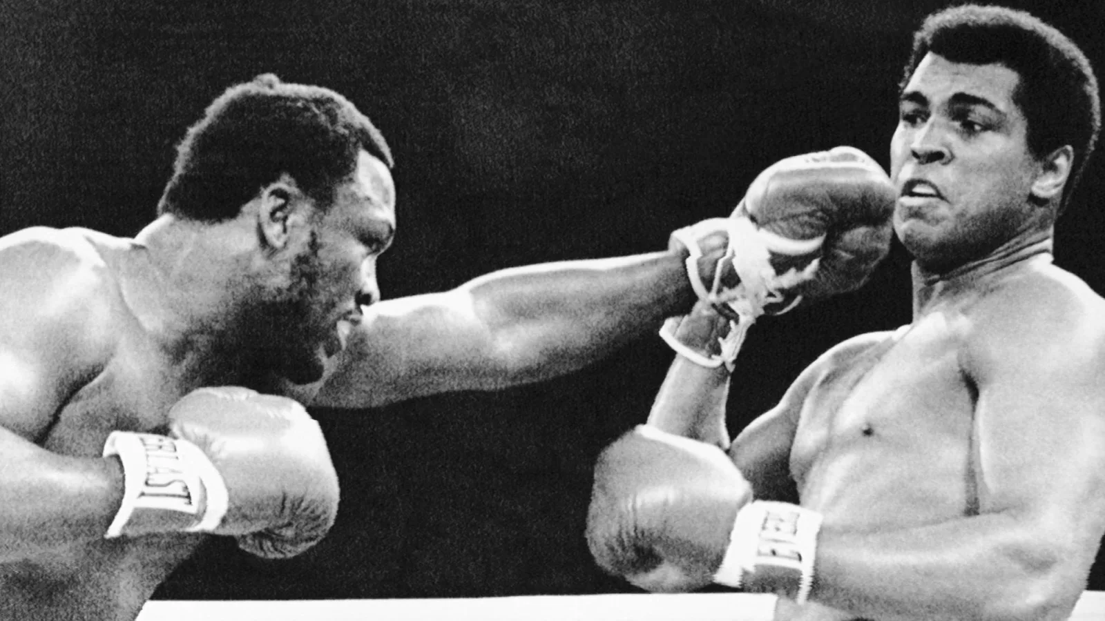 Roots of Fight Sales -Roots of Fight Sales GettyImages 517324908